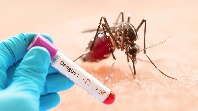 এক দিনে ডেঙ্গুতে নতুন ৪৬৮ জন হাসপাতালে ভর্তি